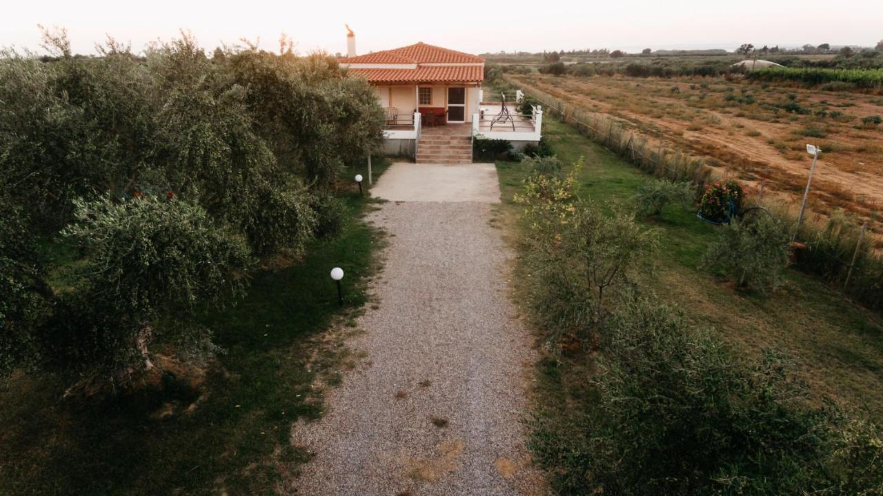 A Wonderful Relaxing Place. Nice View. Romantic Sunset Douneika  Exteriör bild